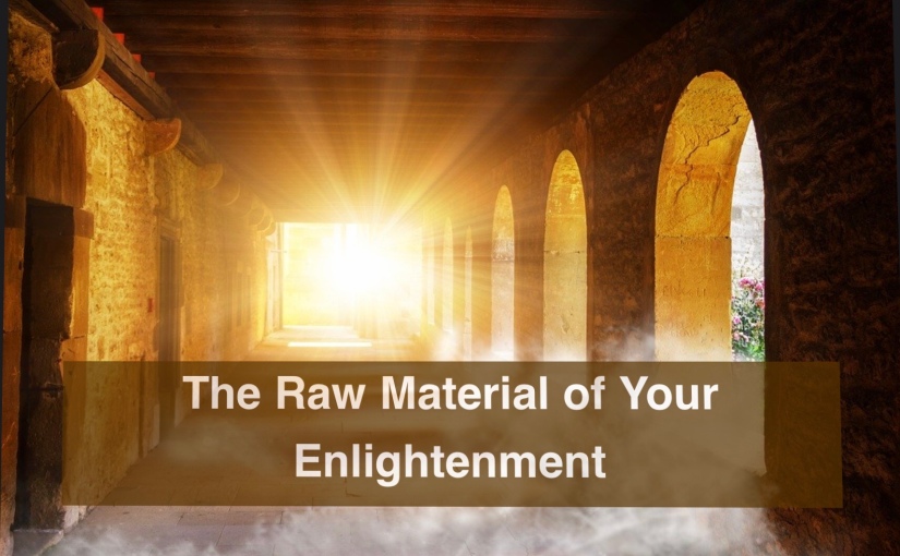 The Raw Material of Your Enlightenment – Day 316 of 365 Days to a Better You